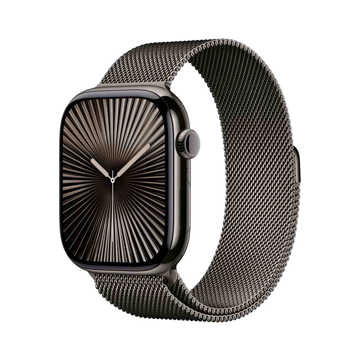 Apple Watch S10 Titan Schiefer Cellular 46mm (Milanaise Armband schiefer) S/M