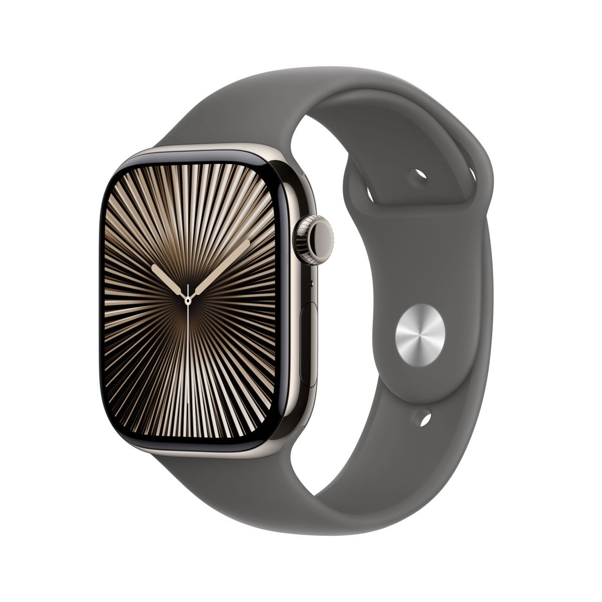 Apple Watch S10 Titan Natur Cellular 46mm (Sportarmband steingrau) S/M