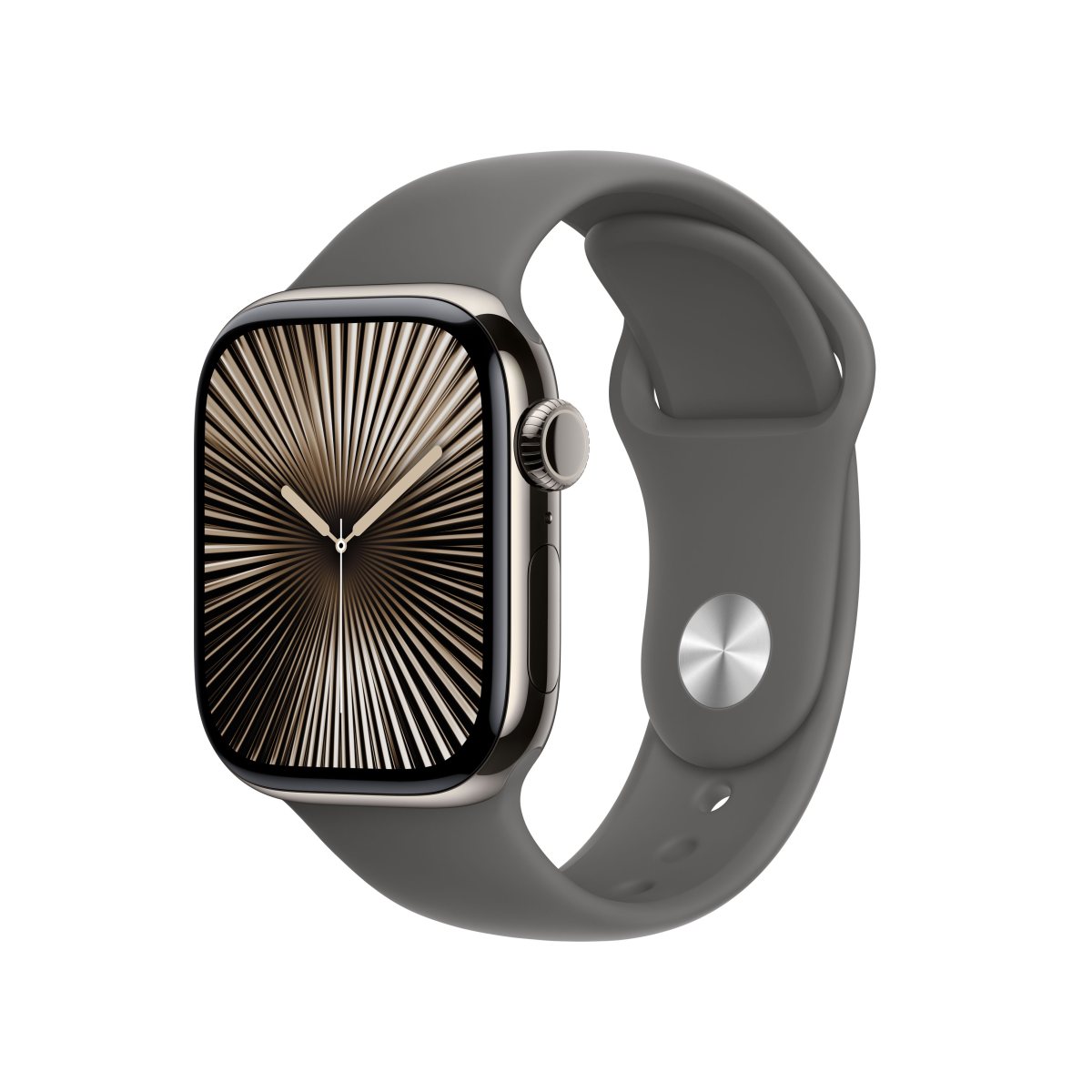 Apple Watch S10 Titan Natur Cellular 42mm (Sportarmband steingrau) M/L