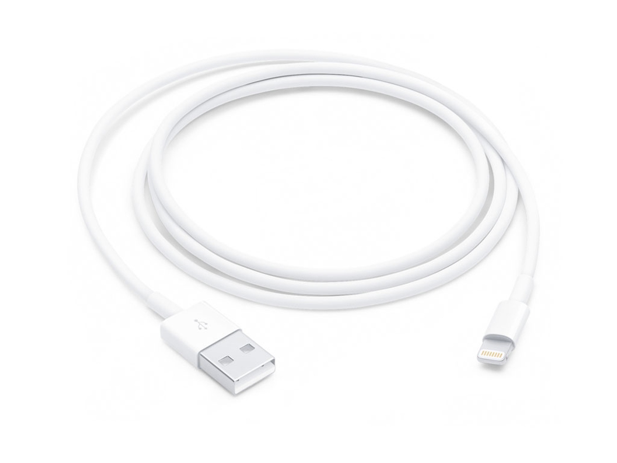 Apple Lightning auf USB Cable (1m)