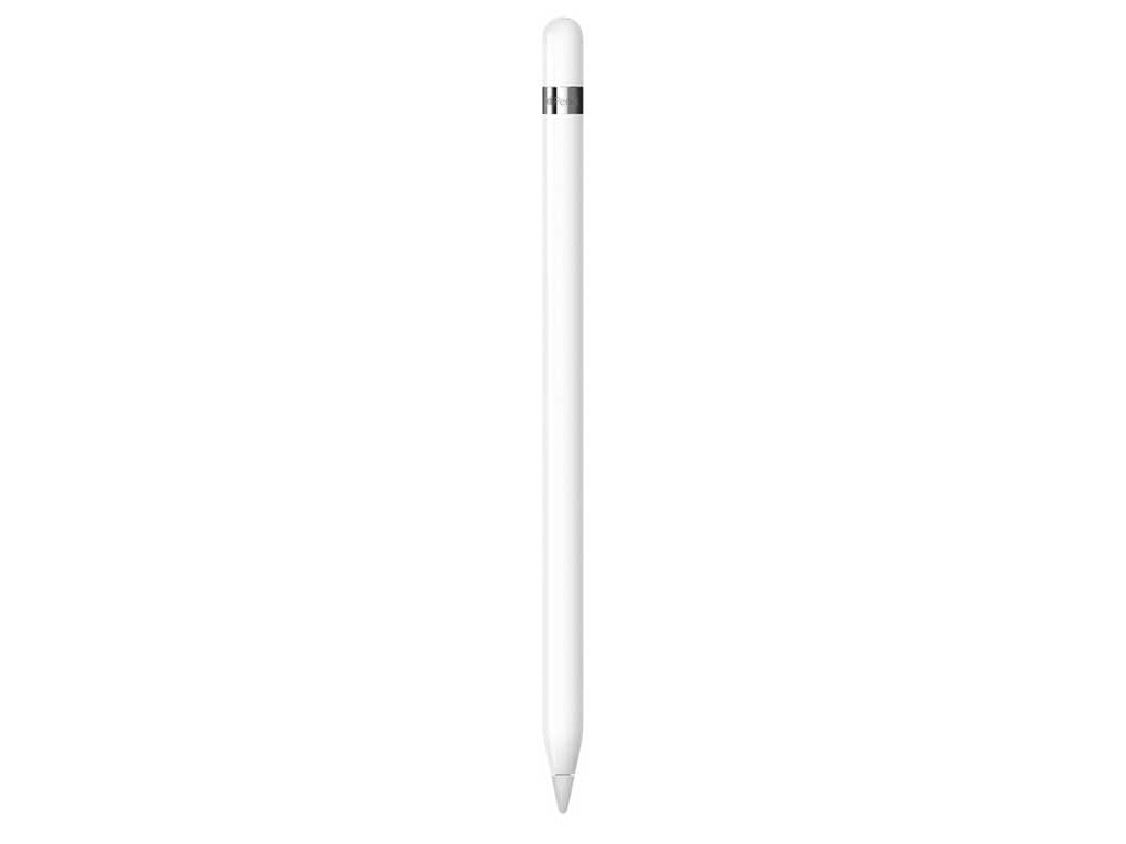 Apple Pencil (1. Generation) inkl. USB-C Pencil Adapter (C-Artikel)