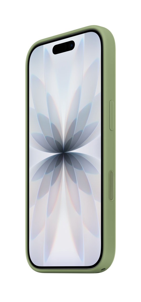 Apple Silikon Case iPhone 17 mit MagSafe (hellmoosgrün)