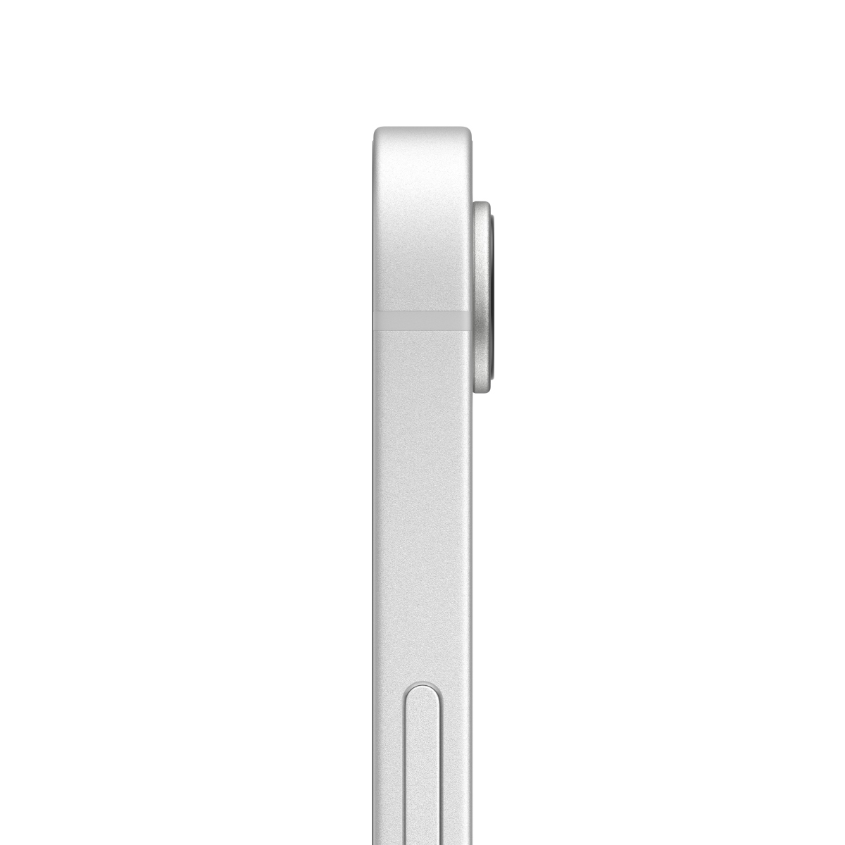 330667_2.jpg