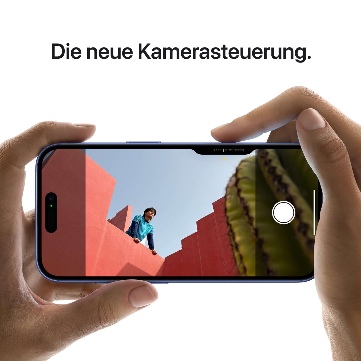 325586_6.jpg